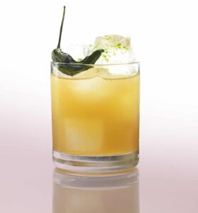 shisito marg